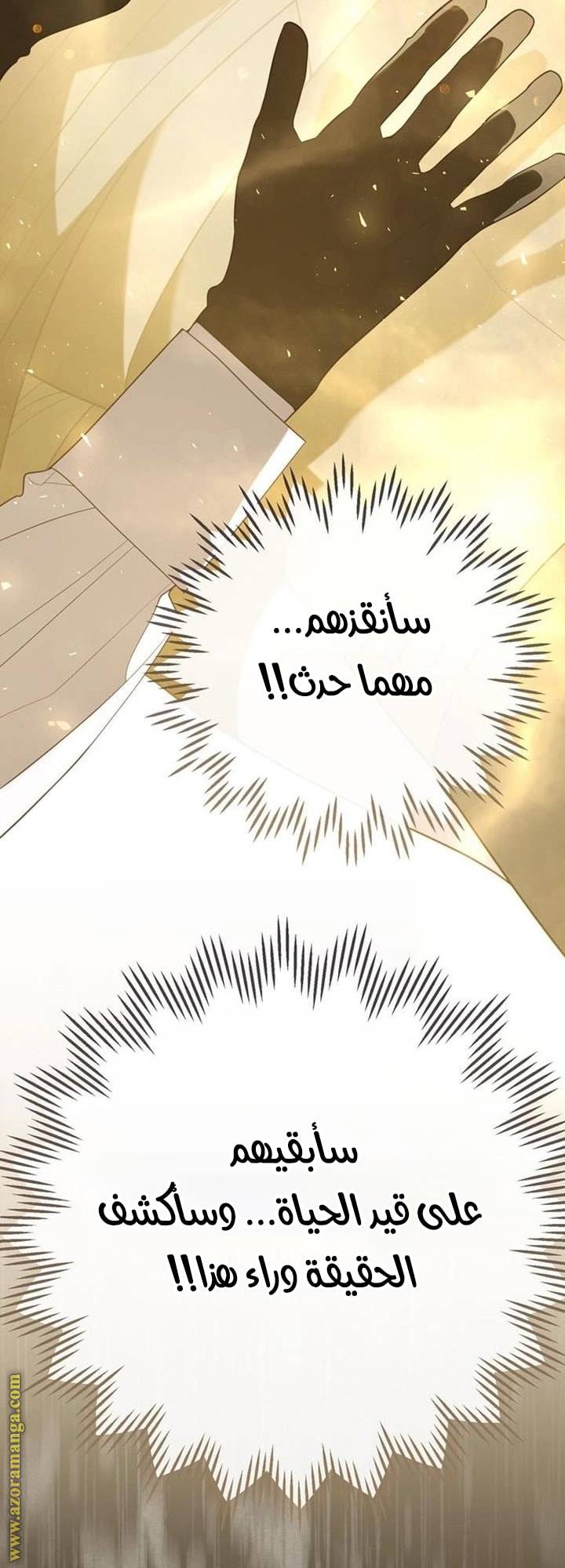 الصفحة 47