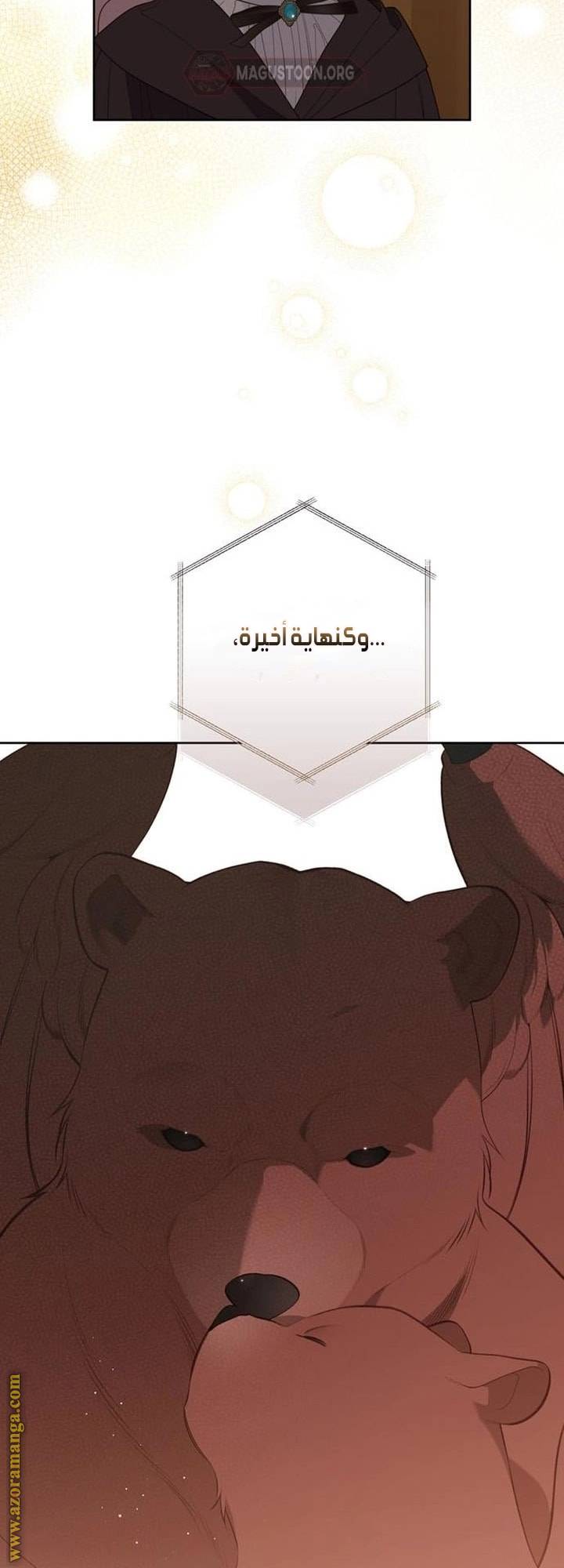الصفحة 17