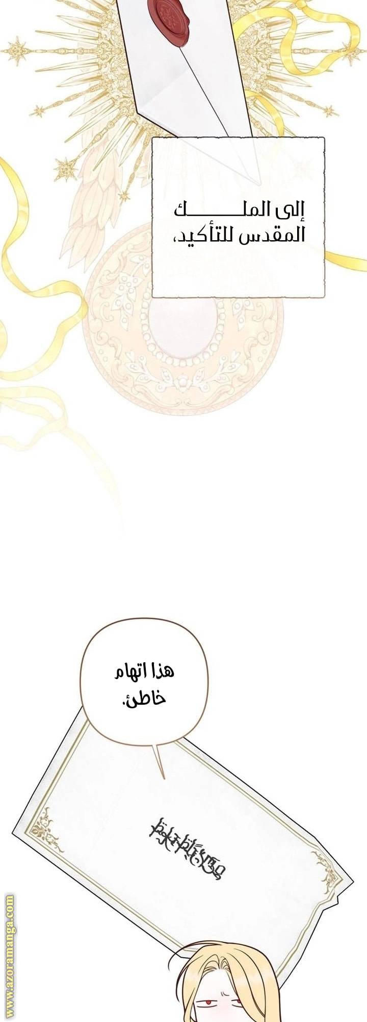 الصفحة 27