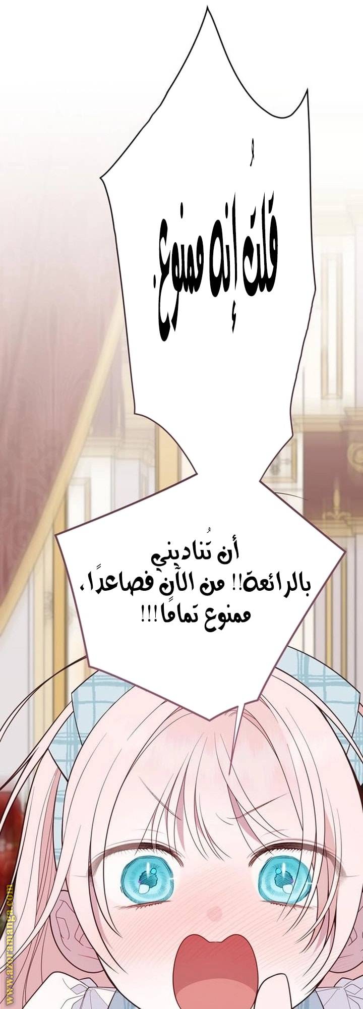 الصفحة 55
