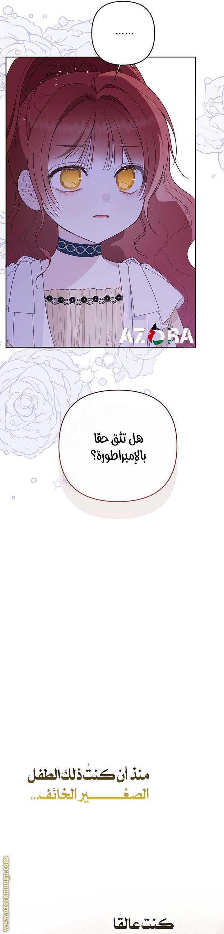 الصفحة 17