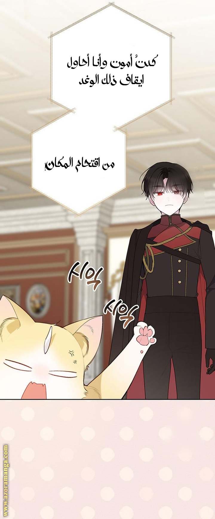 الصفحة 25