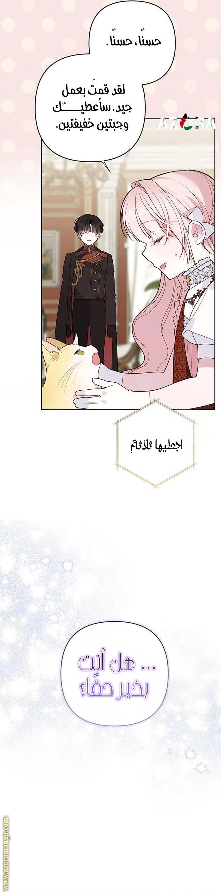الصفحة 27