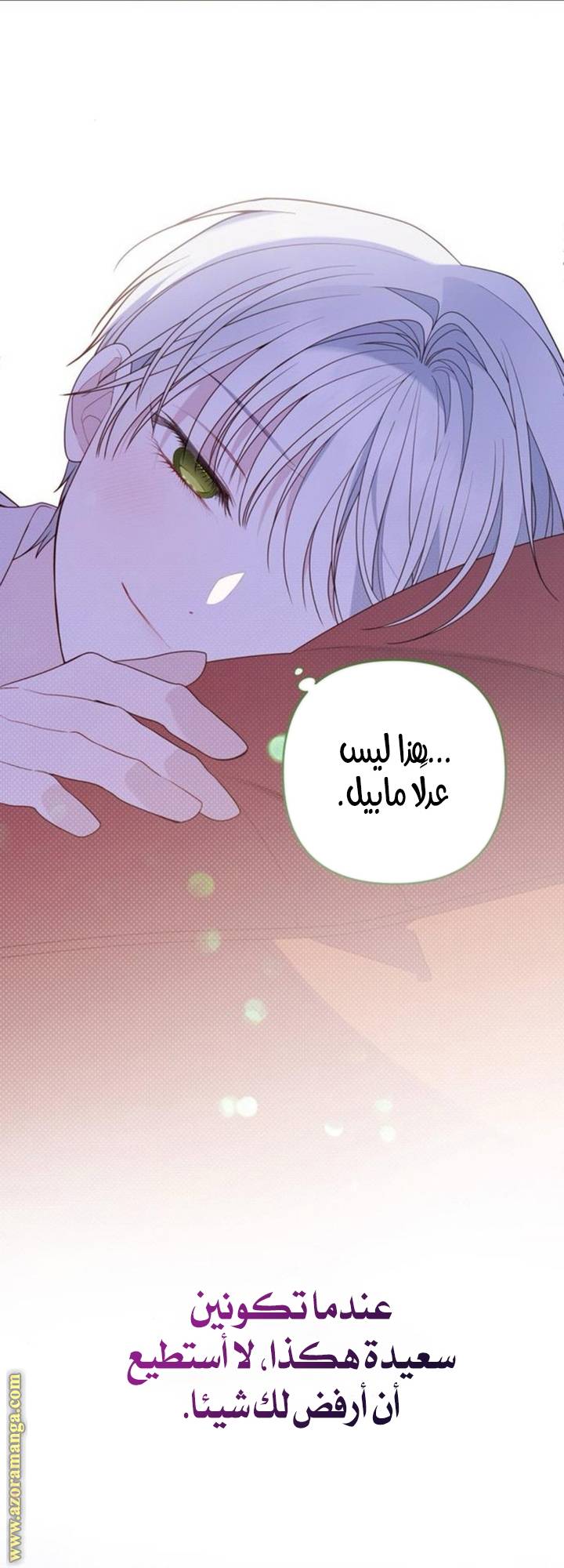 الصفحة 19