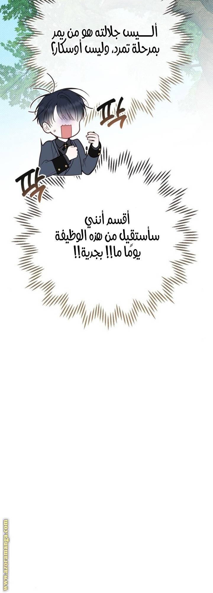 الصفحة 39