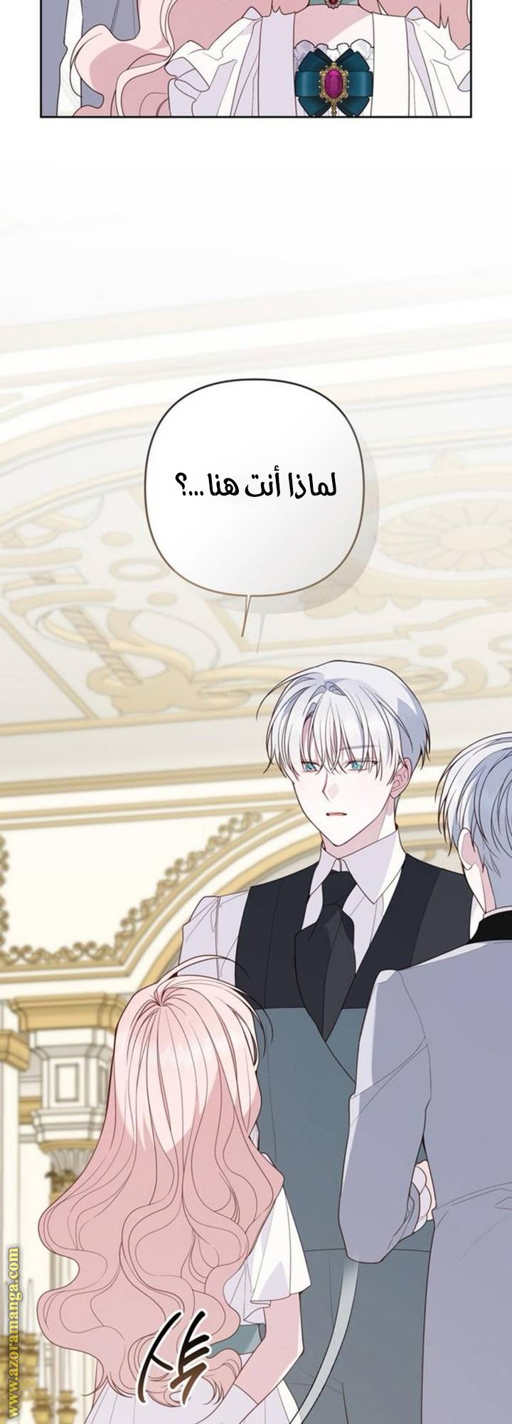 الصفحة 46