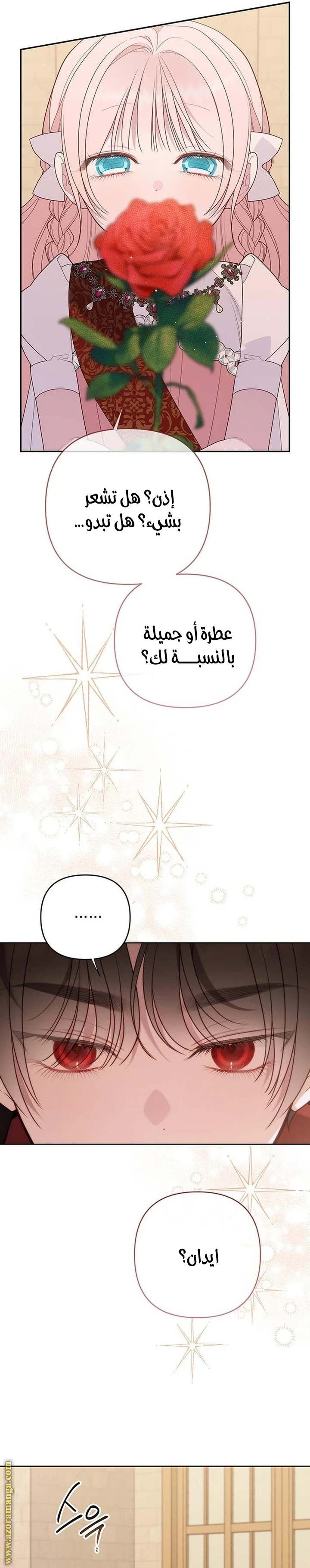 الصفحة 17