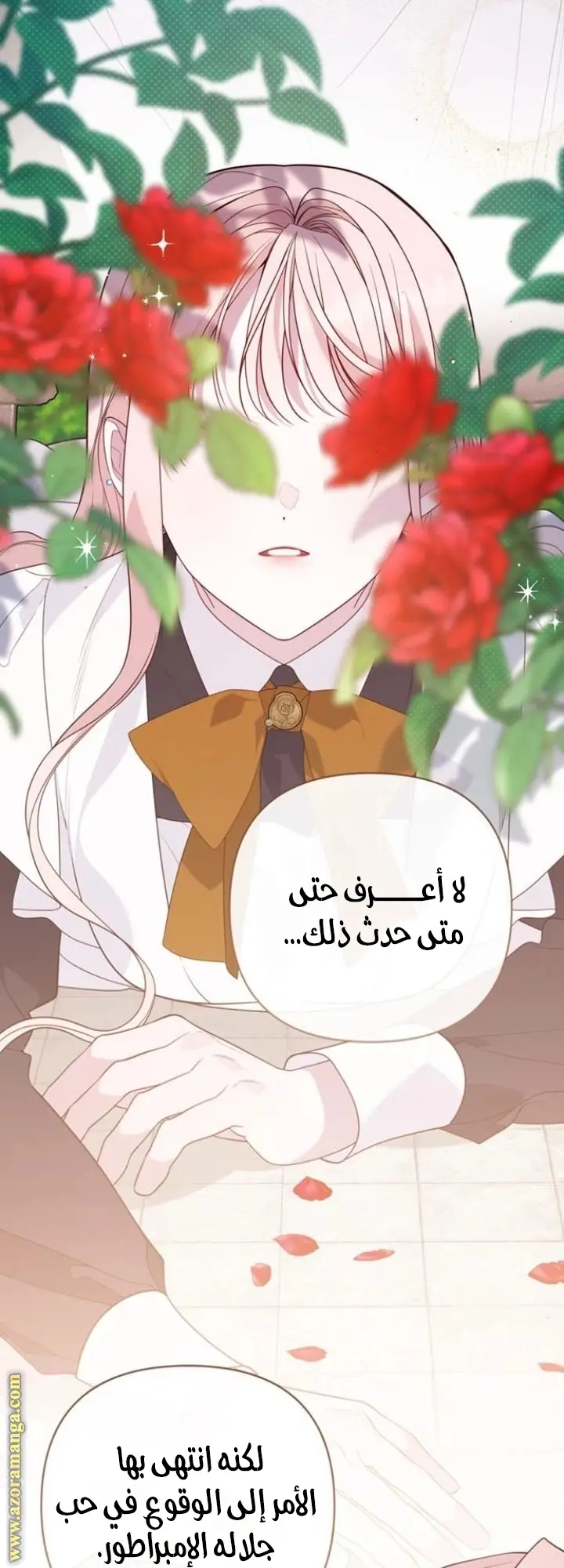 الصفحة 52