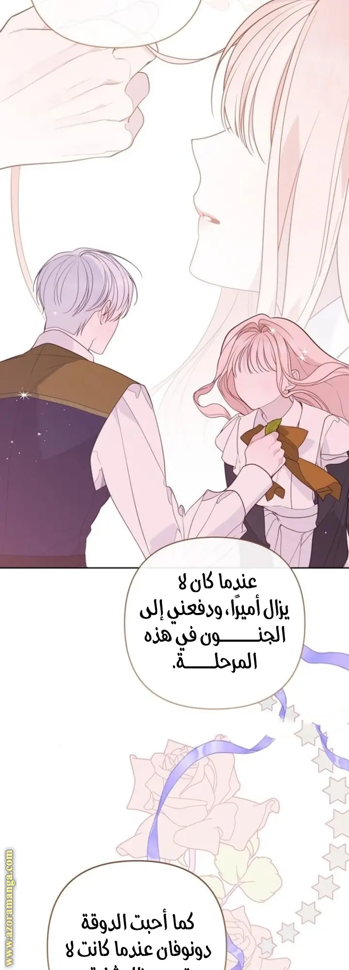 الصفحة 53