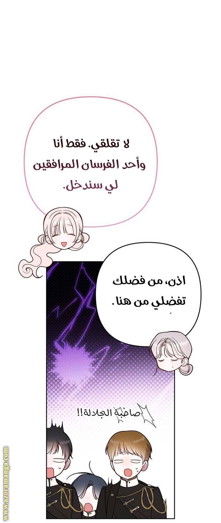 الصفحة 13