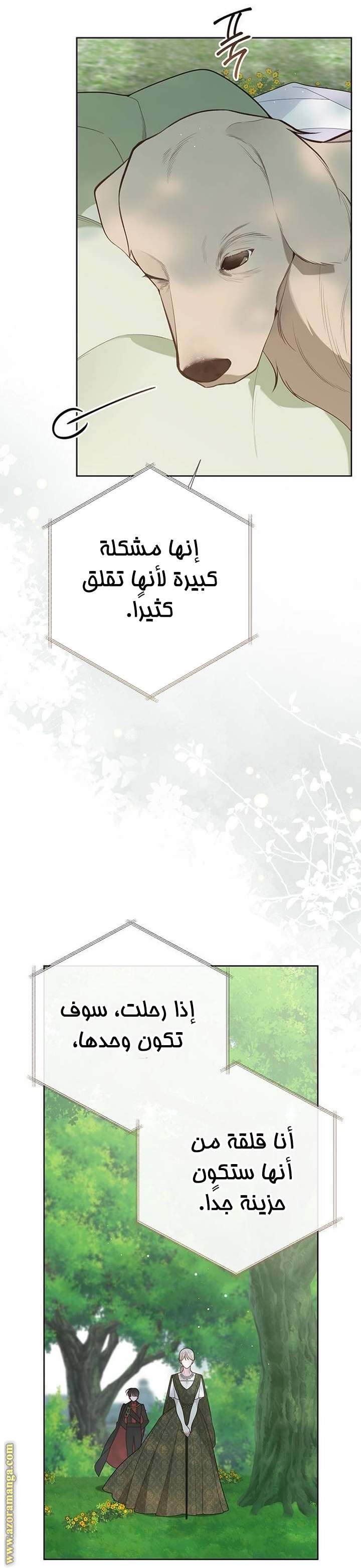 الصفحة 19