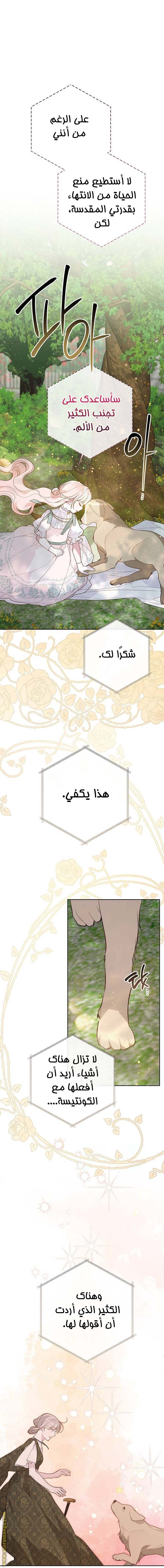 الصفحة 21