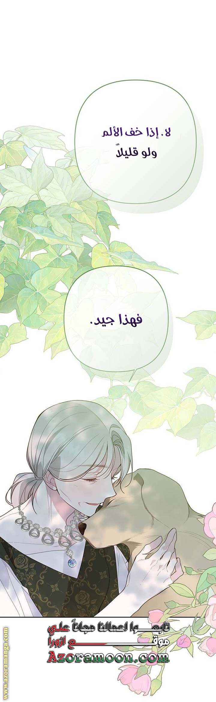الصفحة 24
