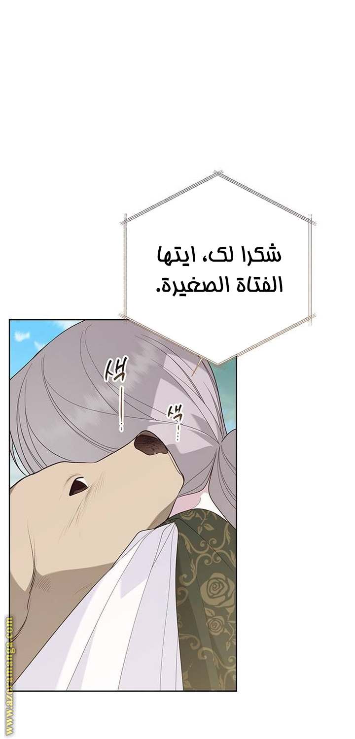 الصفحة 43