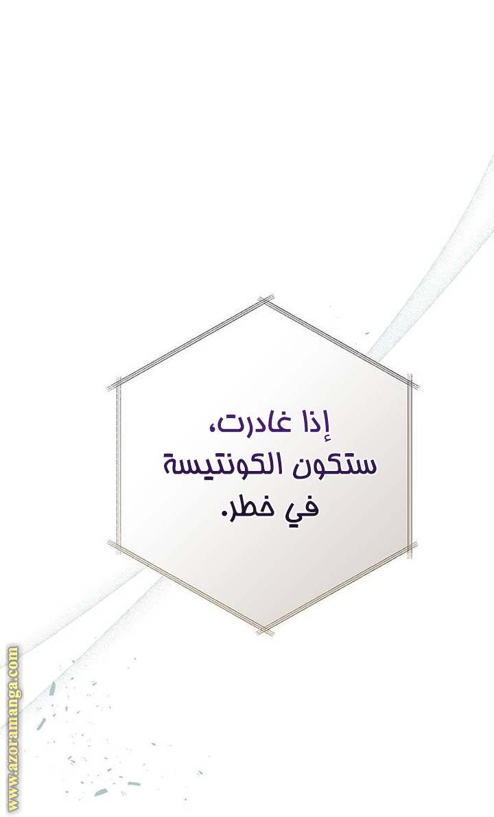 الصفحة 45