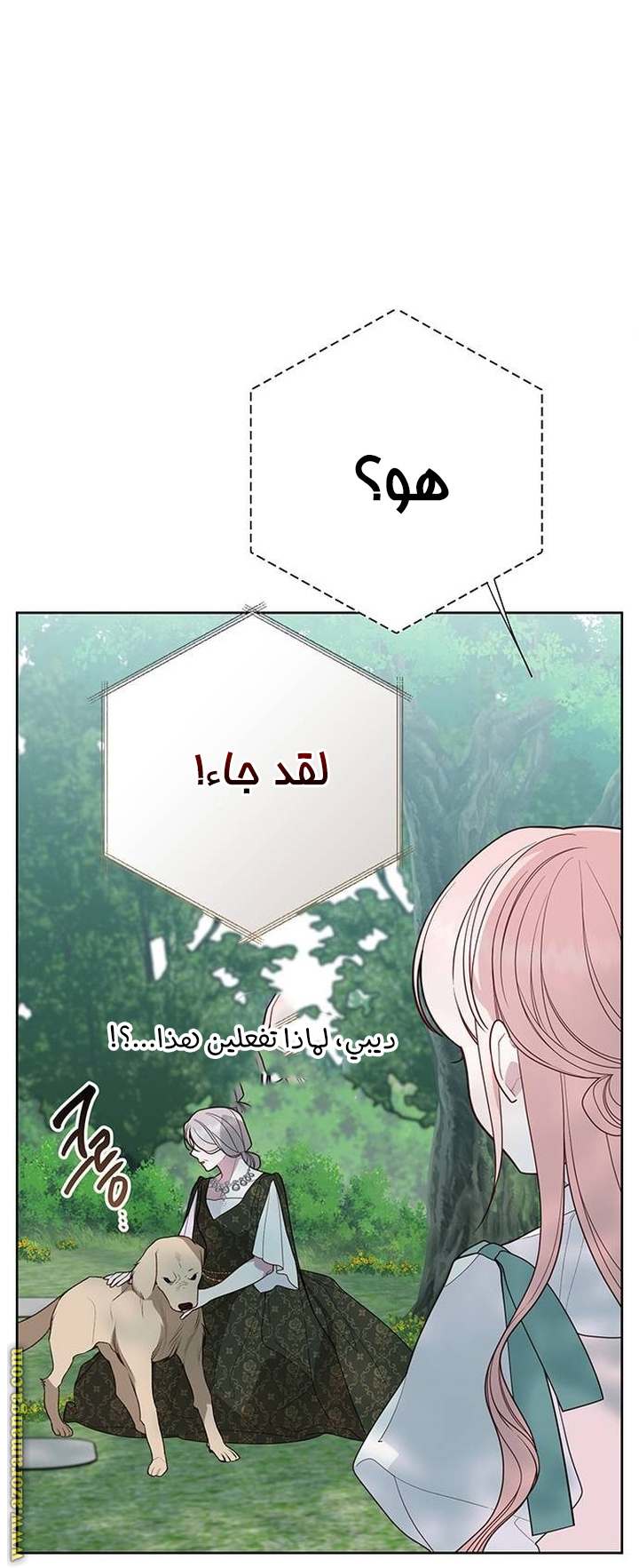 الصفحة 47