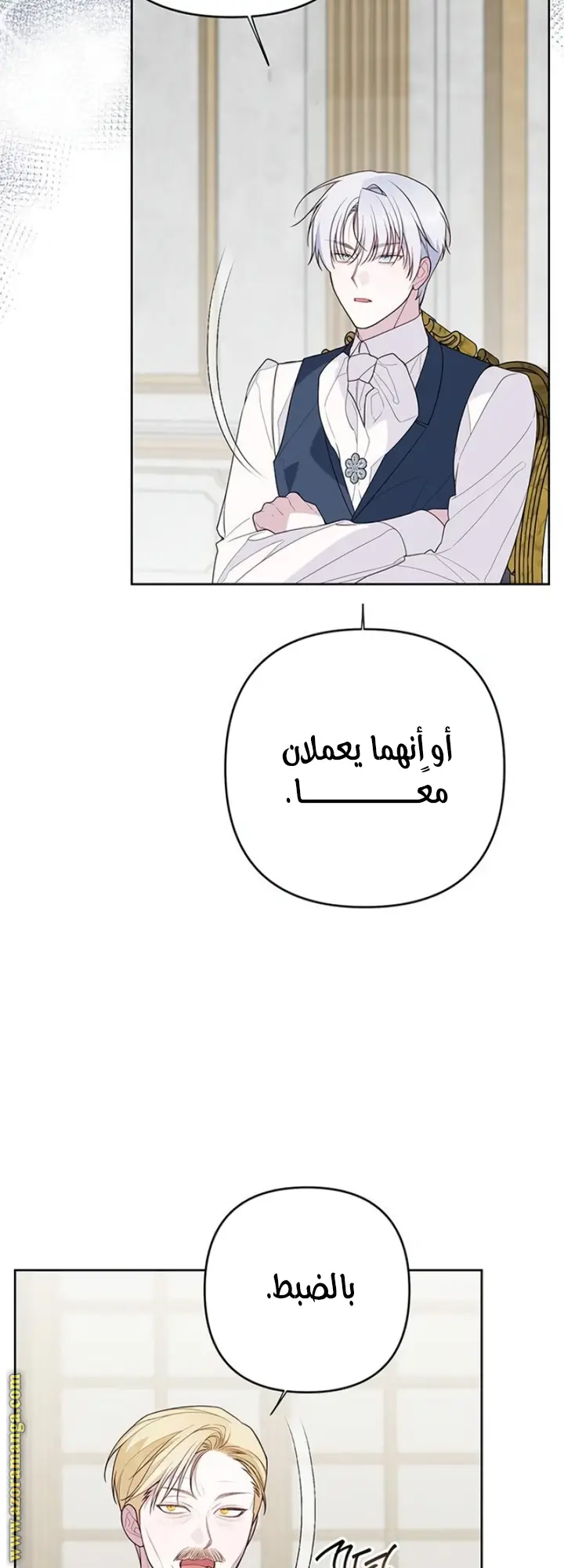 الصفحة 11