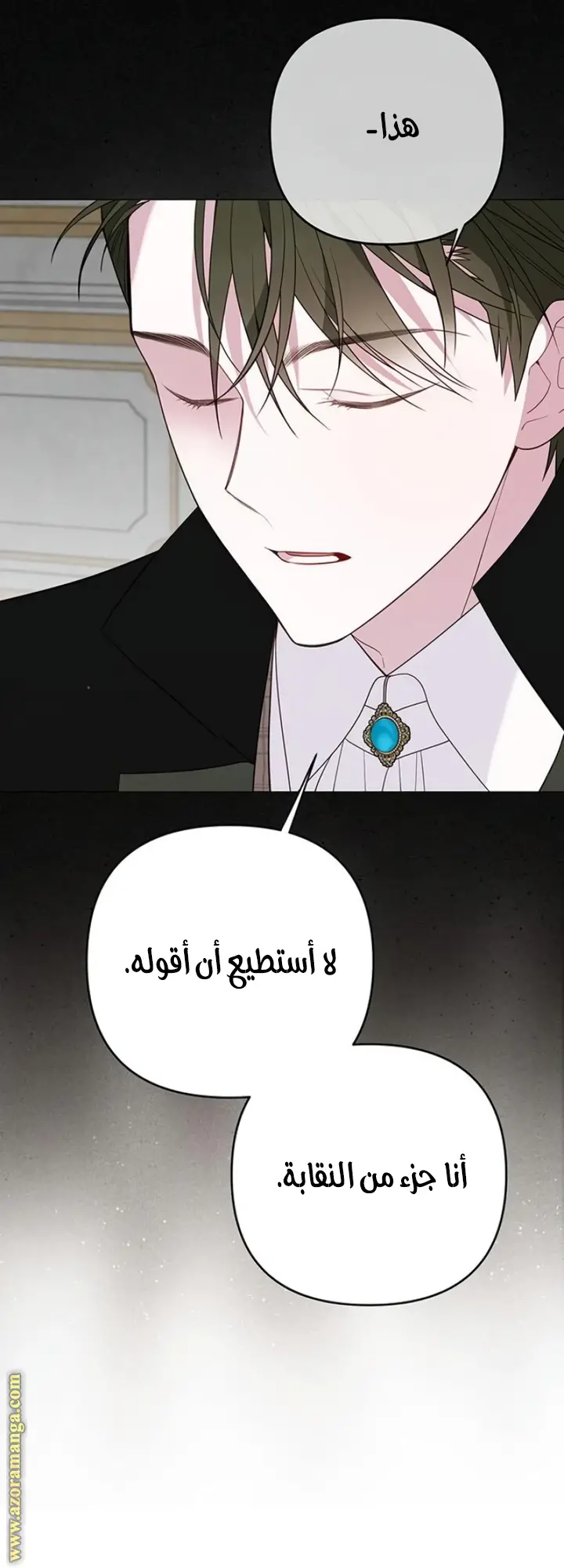 الصفحة 27