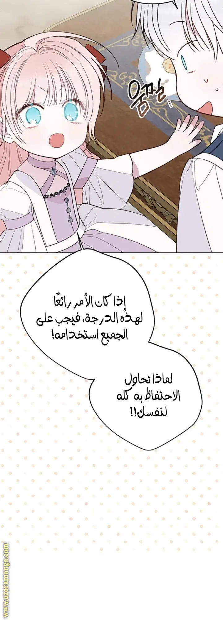 الصفحة 41