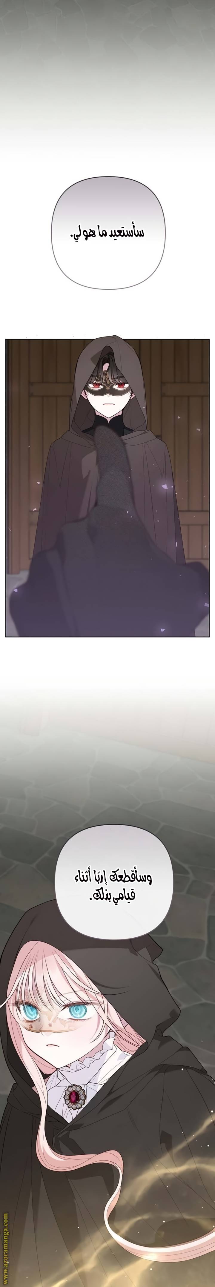 الصفحة 17