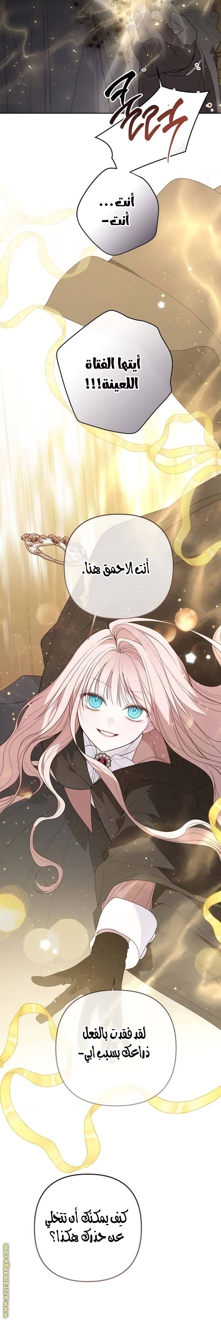 الصفحة 25