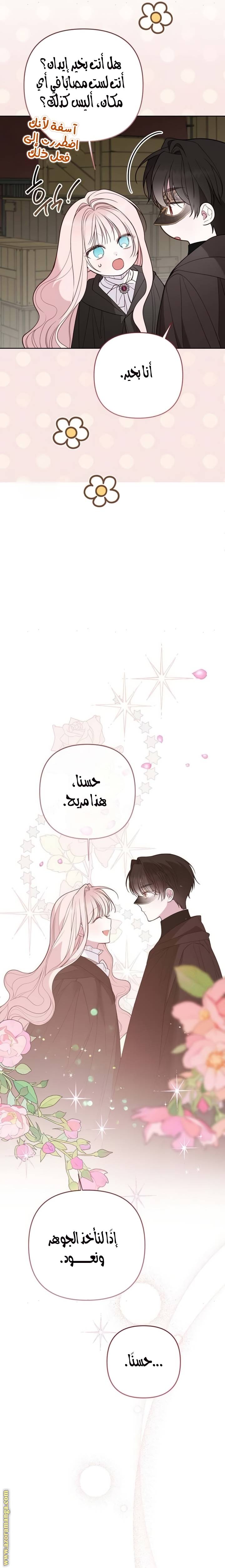 الصفحة 29