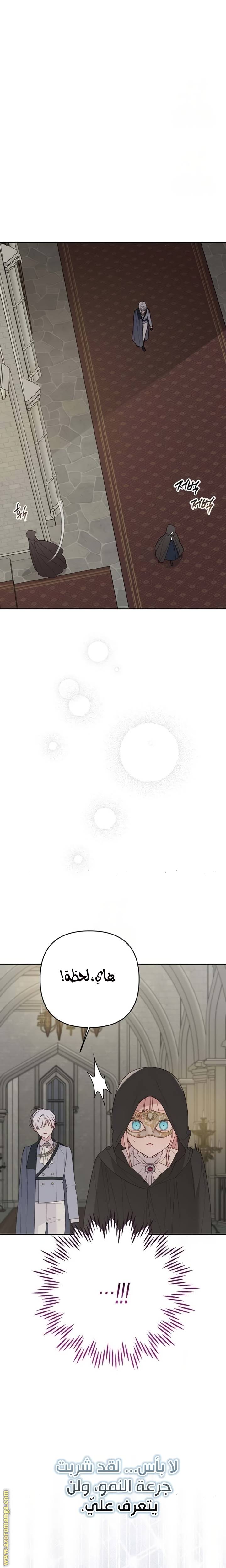 الصفحة 32
