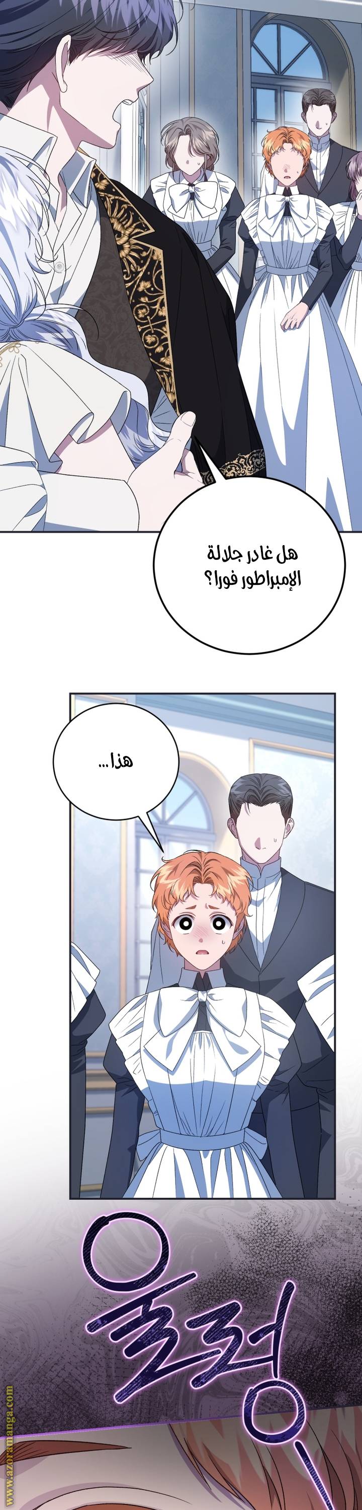 الصفحة 21