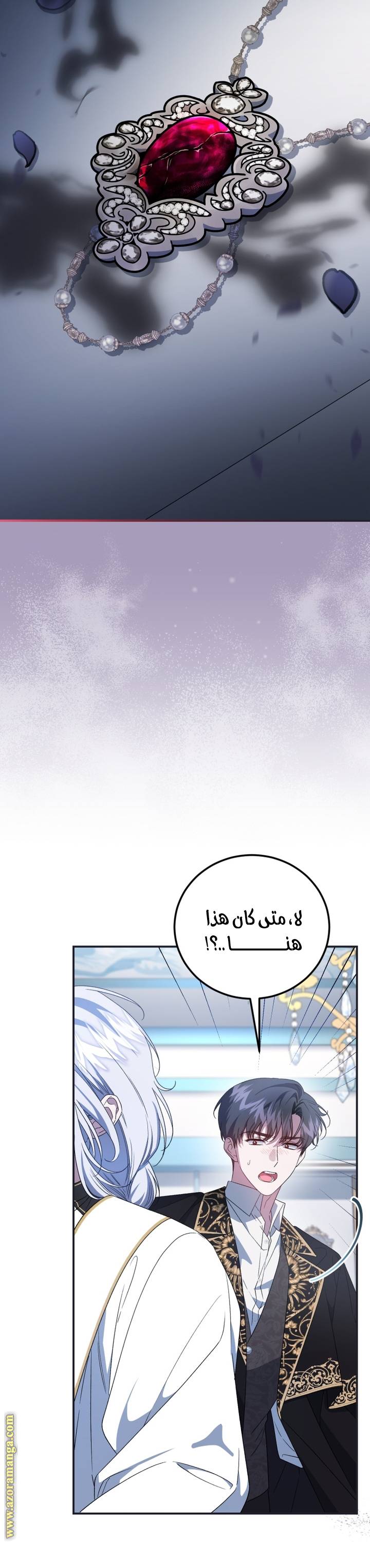 الصفحة 40