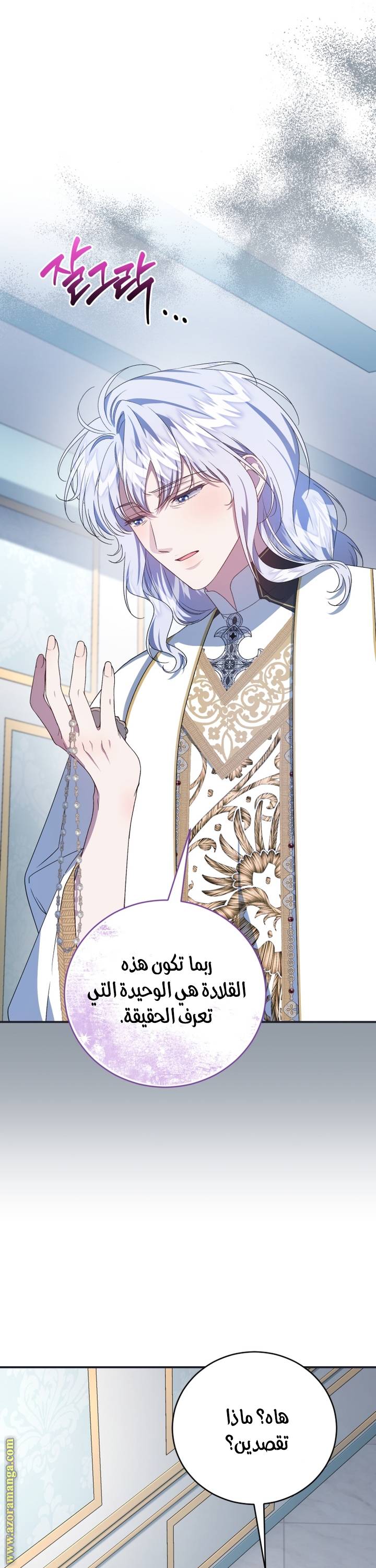 الصفحة 41