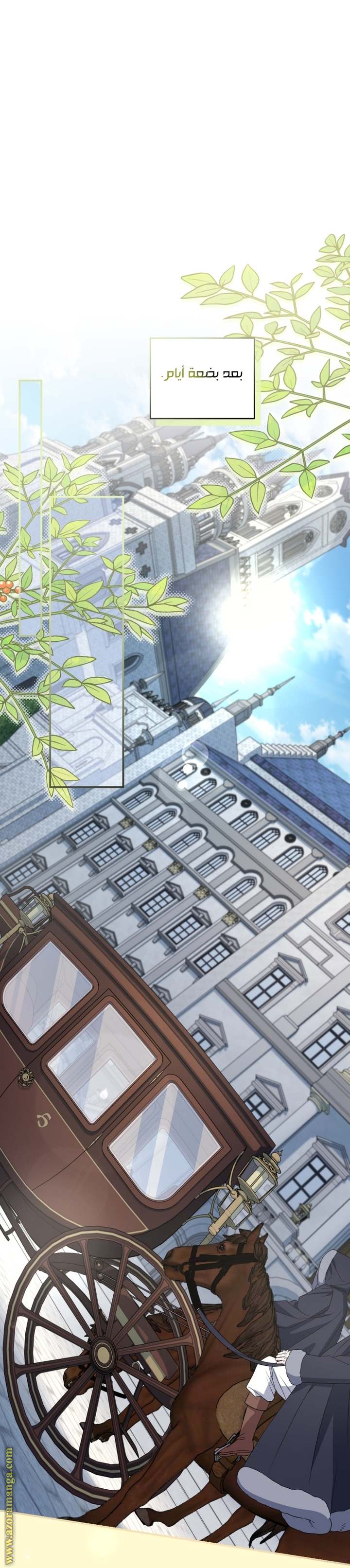 الصفحة 25