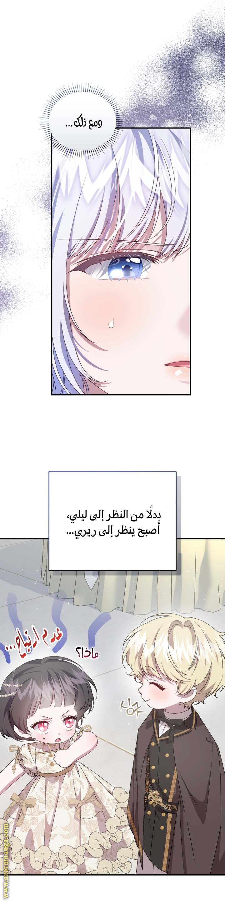 الصفحة 17