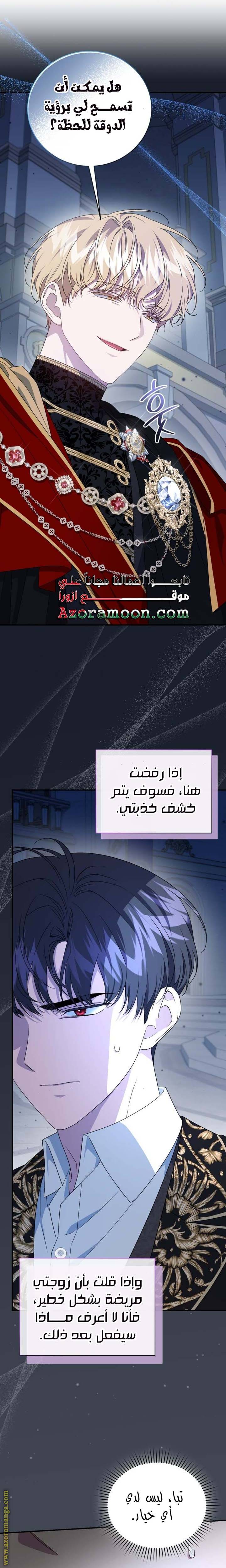 الصفحة 17