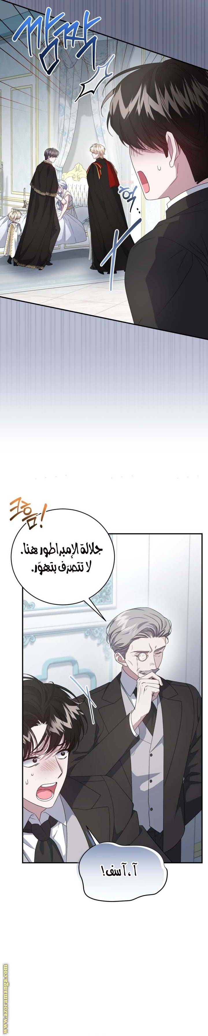 الصفحة 29