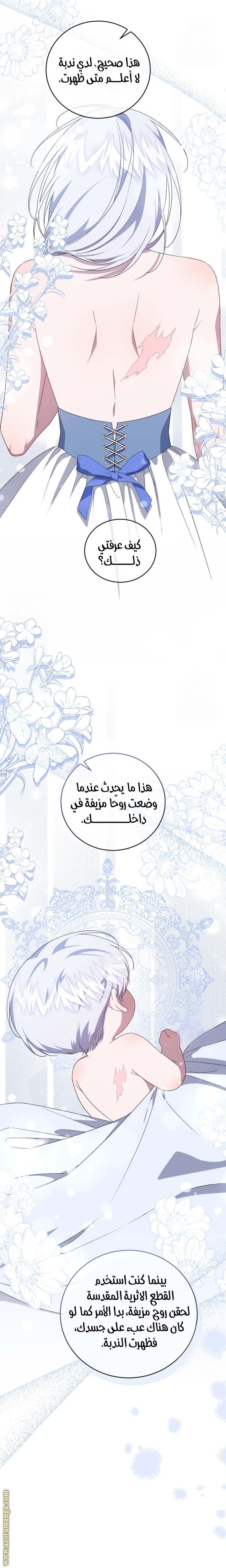 الصفحة 29