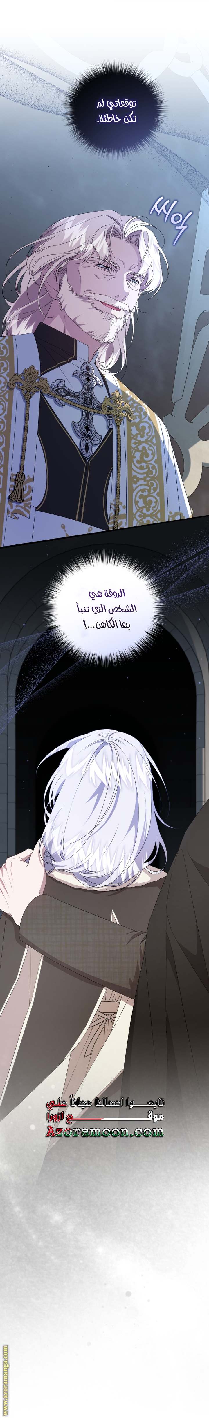 الصفحة 41
