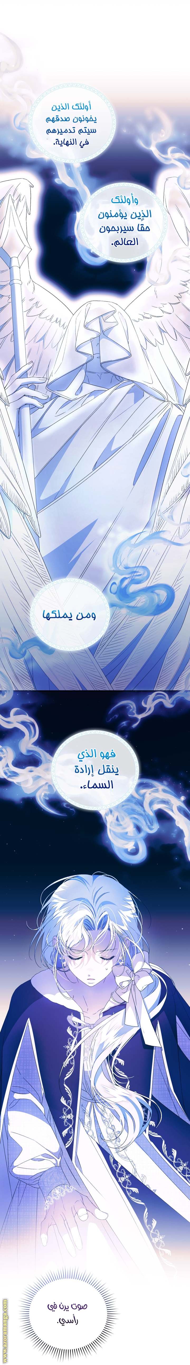 الصفحة 52