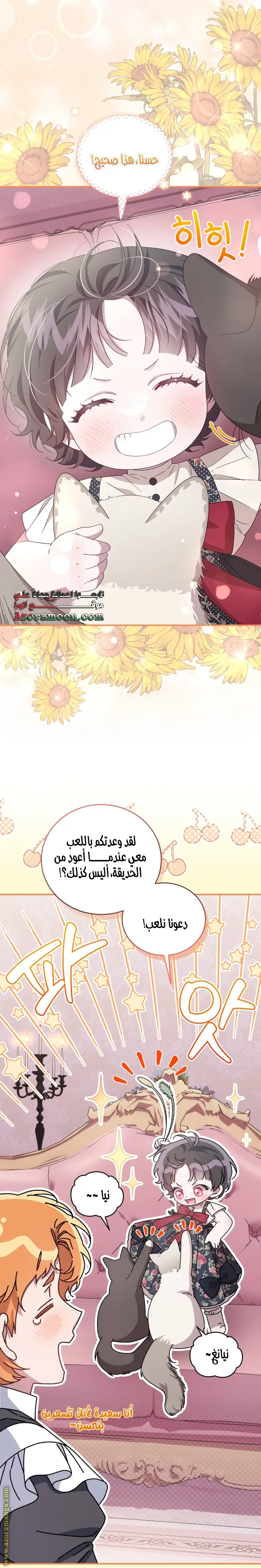 الصفحة 17