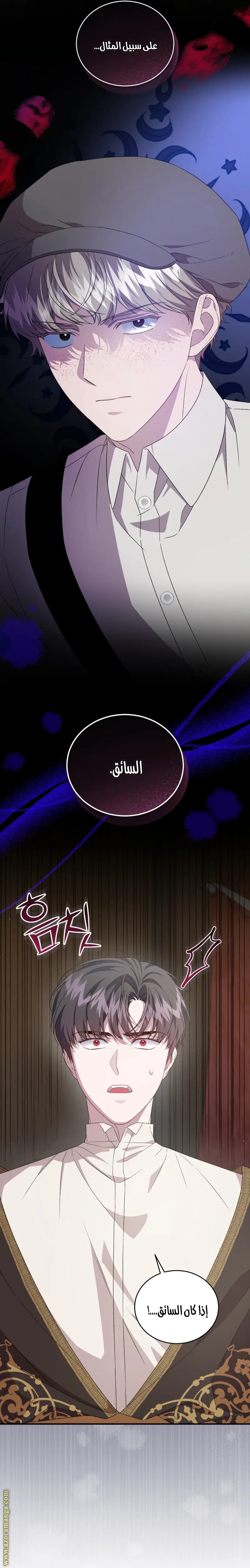 الصفحة 26