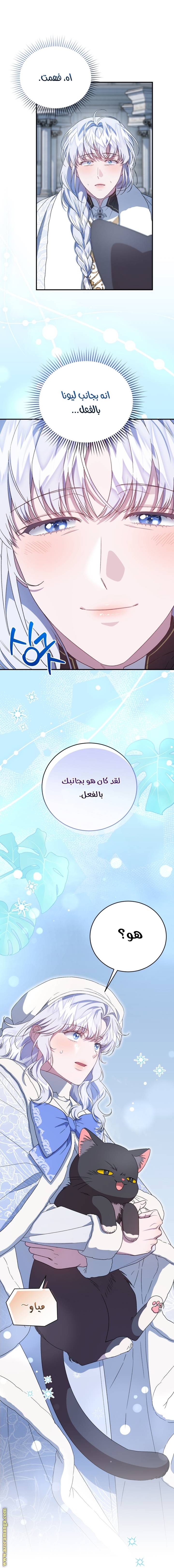 الصفحة 19