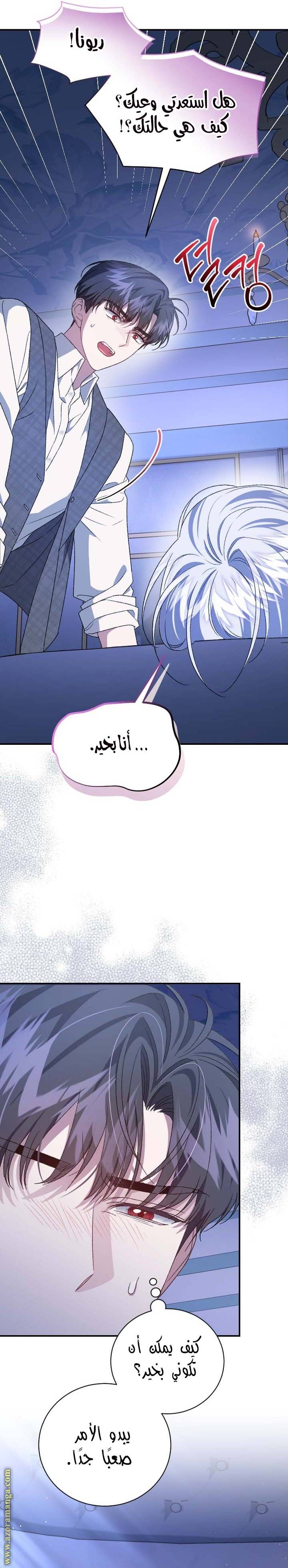 الصفحة 25