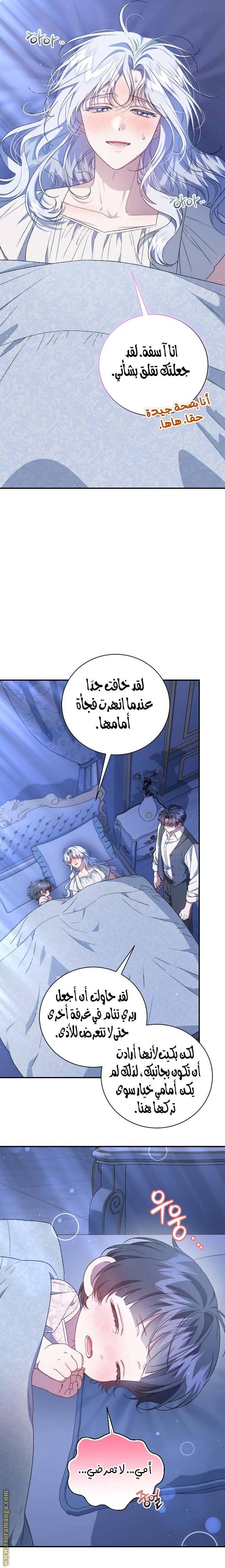 الصفحة 26
