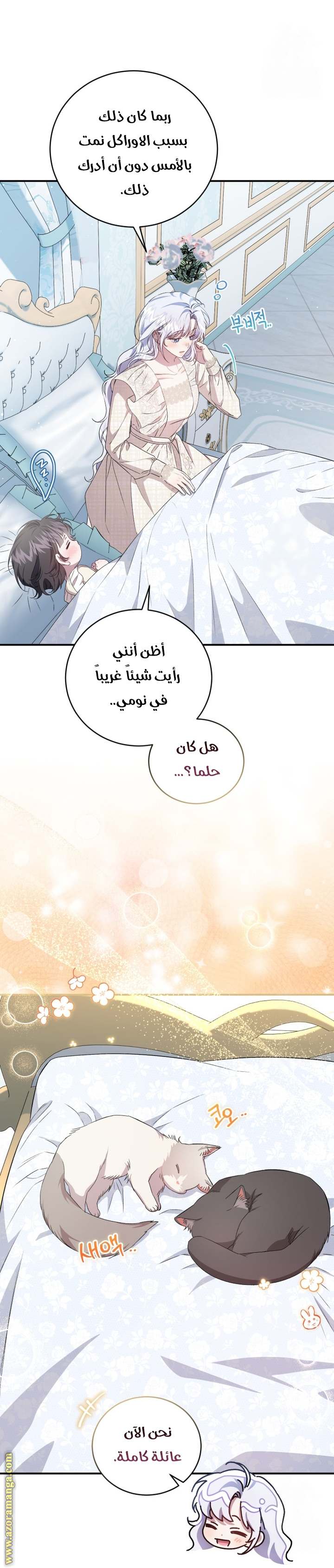 الصفحة 21