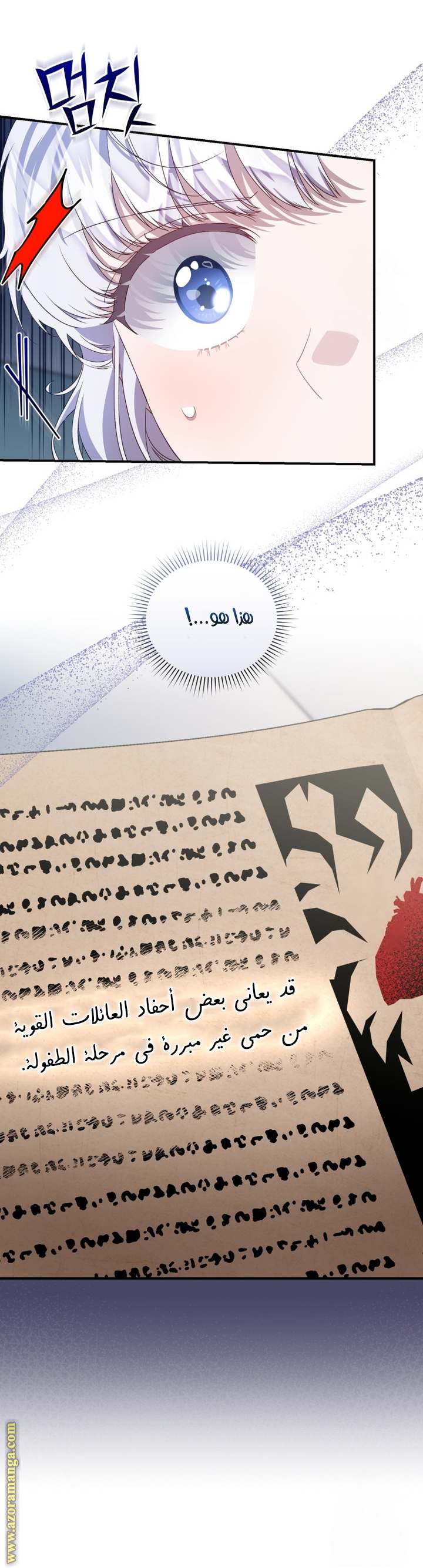 الصفحة 28