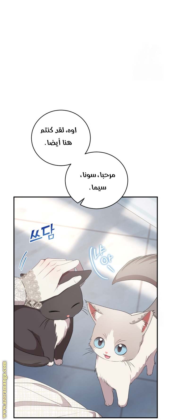 الصفحة 37