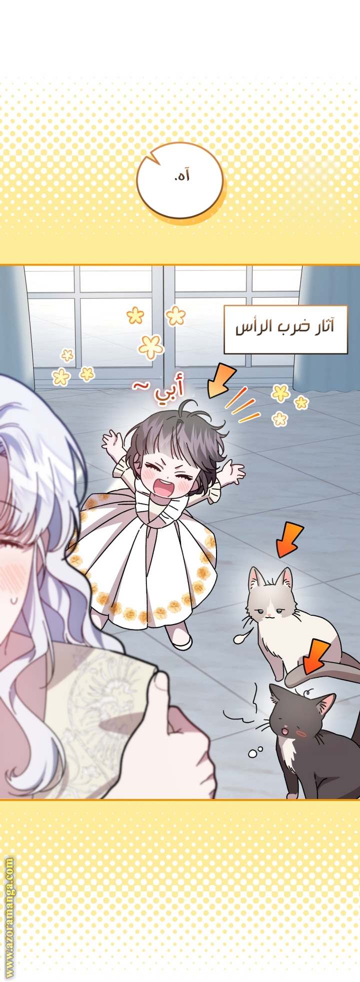الصفحة 42