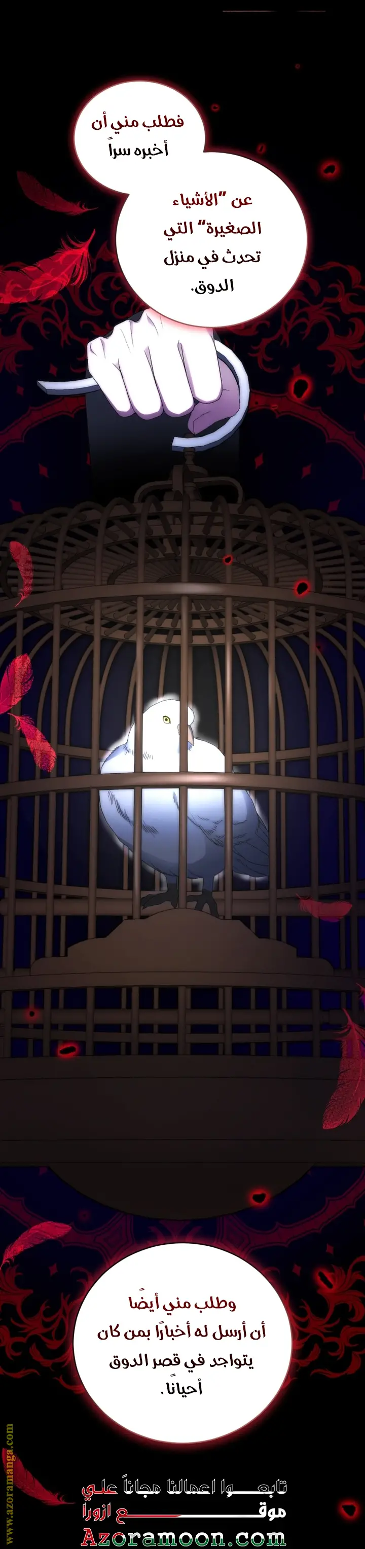 الصفحة 16