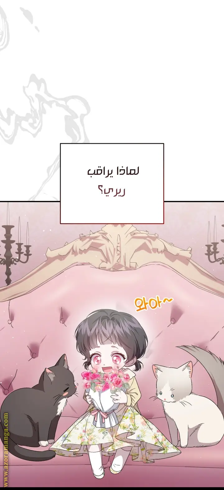الصفحة 40