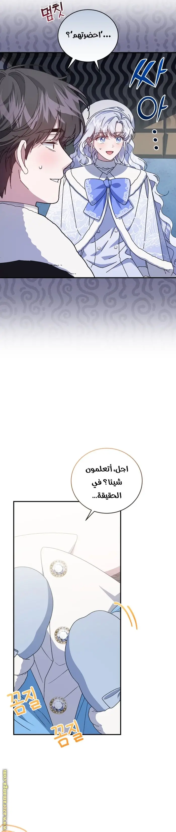 الصفحة 27