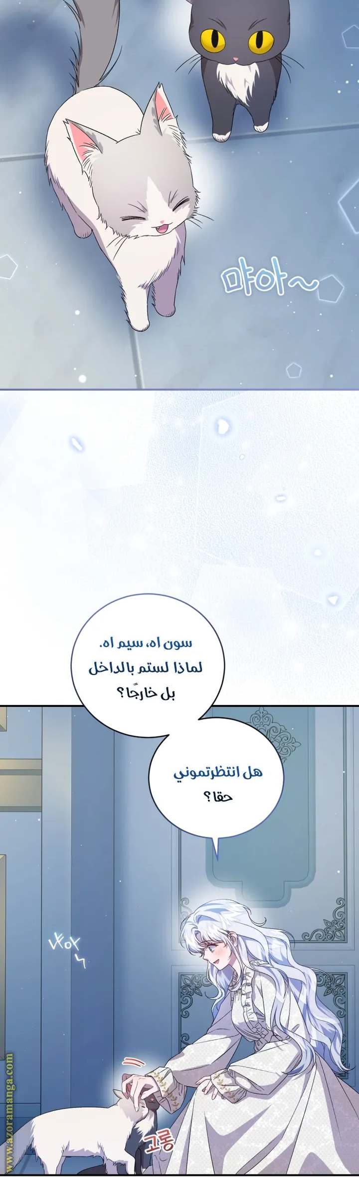 الصفحة 21